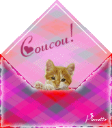 Gif animé coucou chat message
